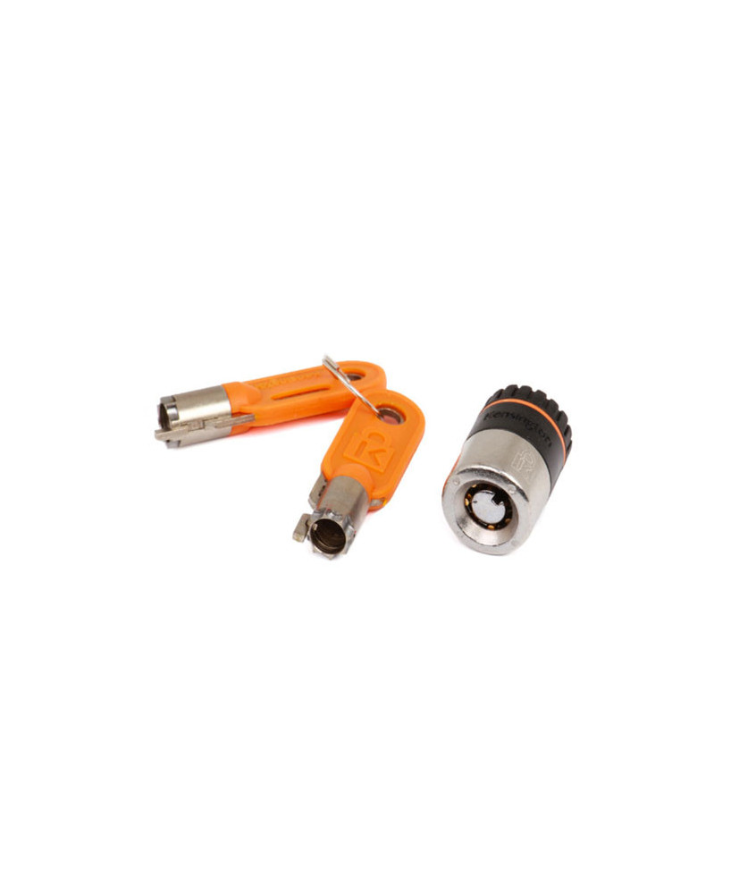 Buy HPE System Cabinet Bezel Lock Kit 875519-B21 for Apollo 4200 Gen10, r2600 Gen10 Server